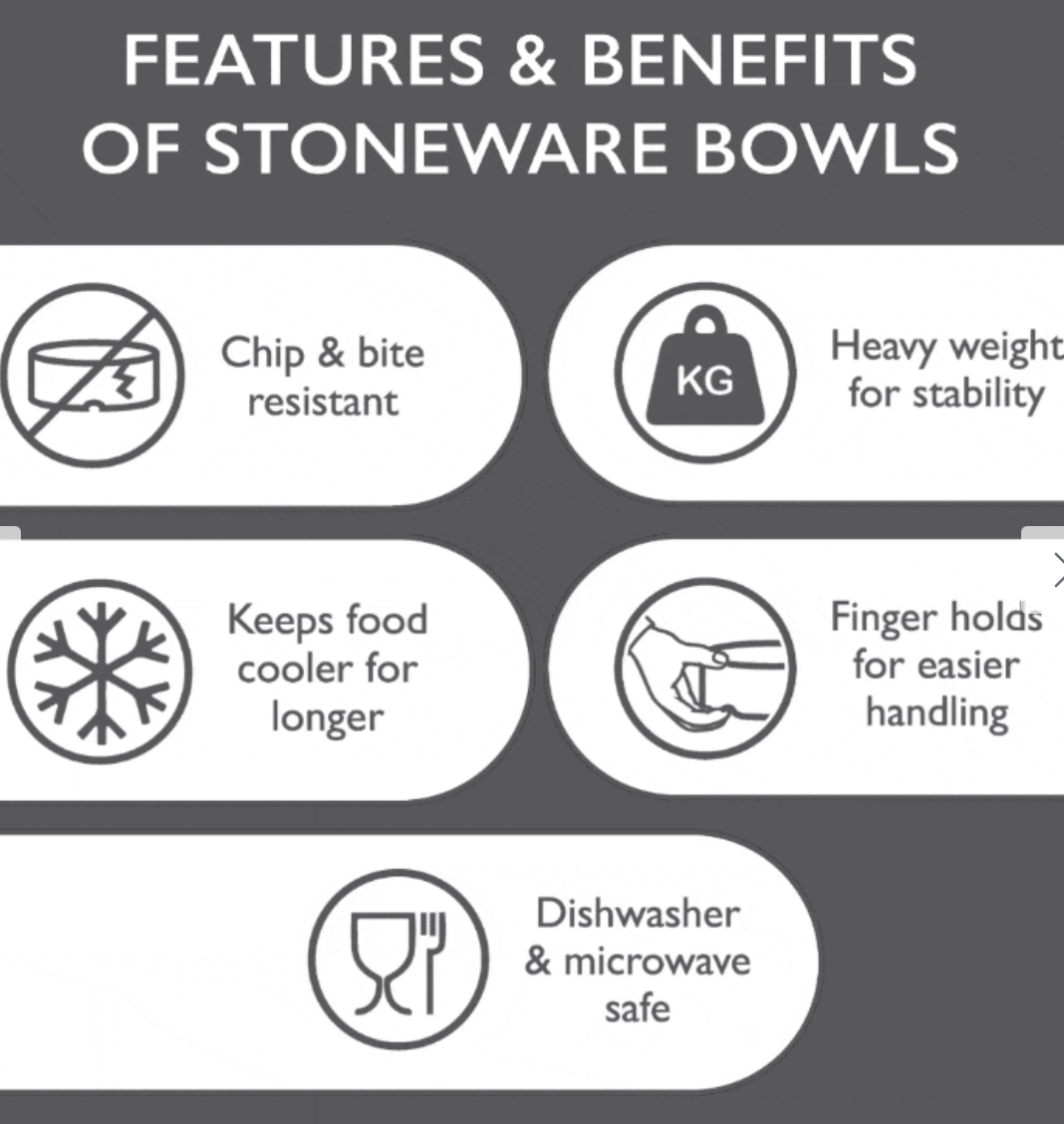 Scruffs Icon Slow Feeder Dog Bowl – Cream (20cm)