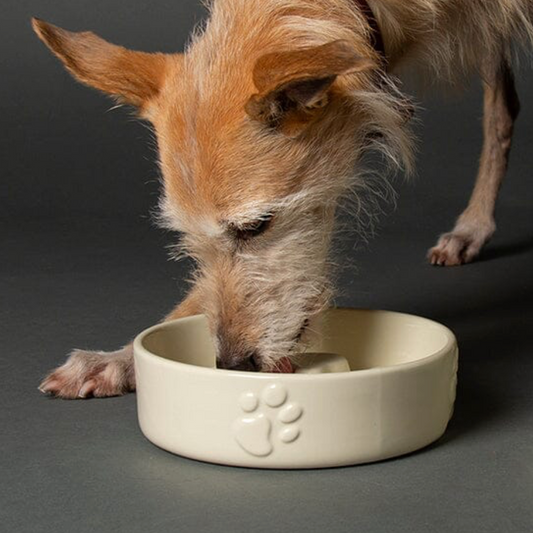 Scruffs Icon Slow Feeder Dog Bowl – Cream (20cm)