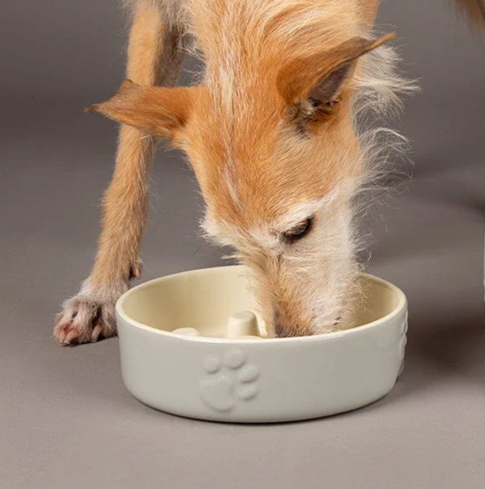 Scruffs Icon Slow Feeder Dog Bowl – Grey (20cm)