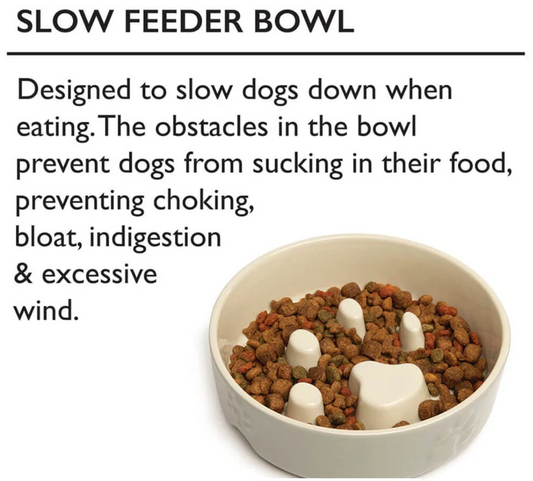 Scruffs Icon Slow Feeder Dog Bowl – Grey (20cm)