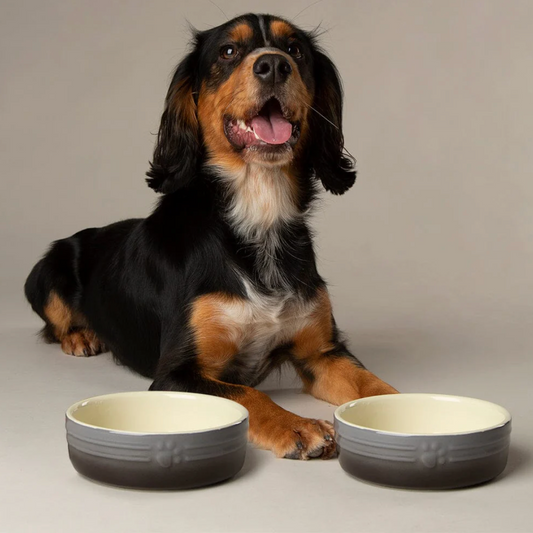 Scruffs Ombre Dog Food / Water Bowl – Grey