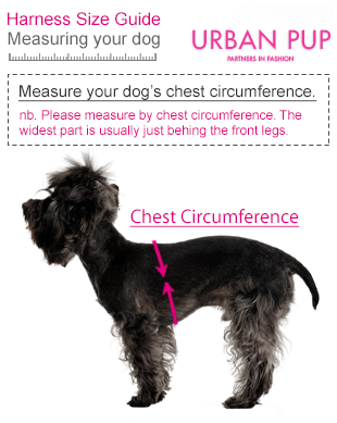 Red Tartan Harness from Urban Pup