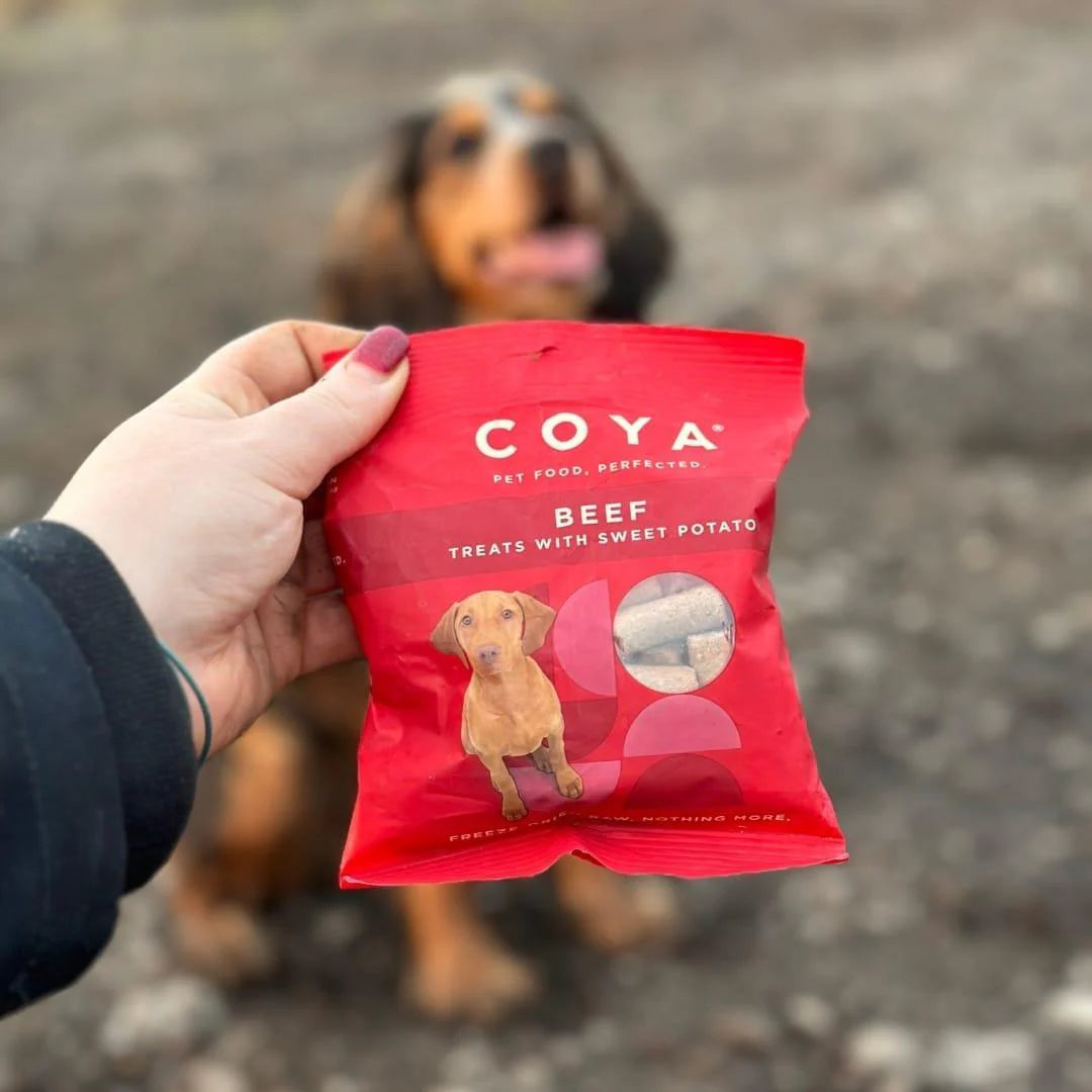 Coya Adult Dog Treats - Beef 40g