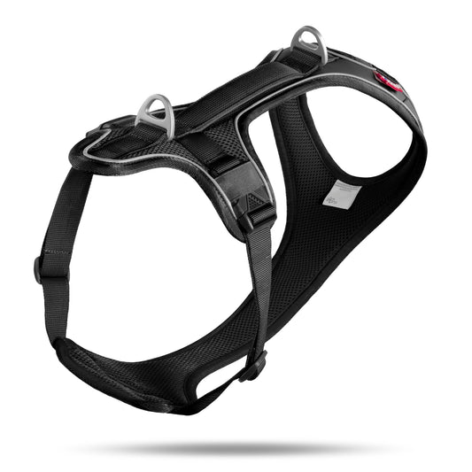 Belka Comfort Harness Black - Sniff & Bark