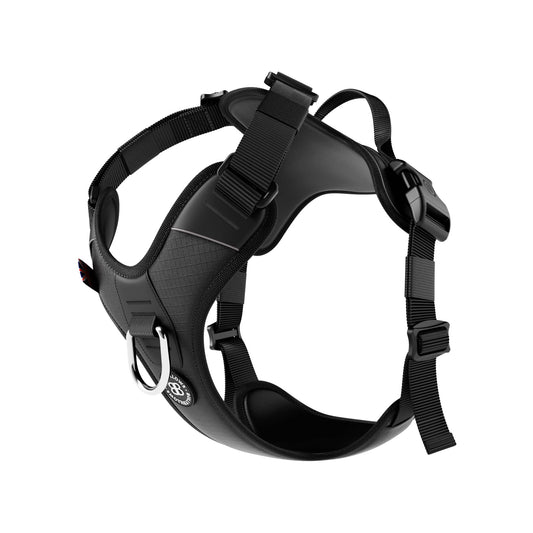 BullyBillows Hurricane Harness – Black - Sniff & Bark