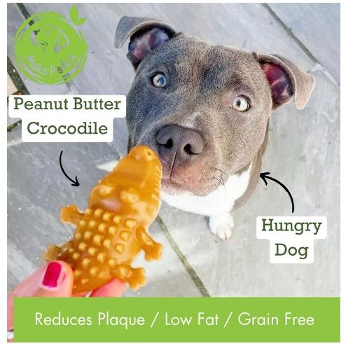 Crocodile - Peanut Butter - Large 12cm x 8.5cm - Sniff & Bark