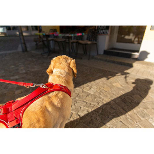 Belka Comfort Harness - Red