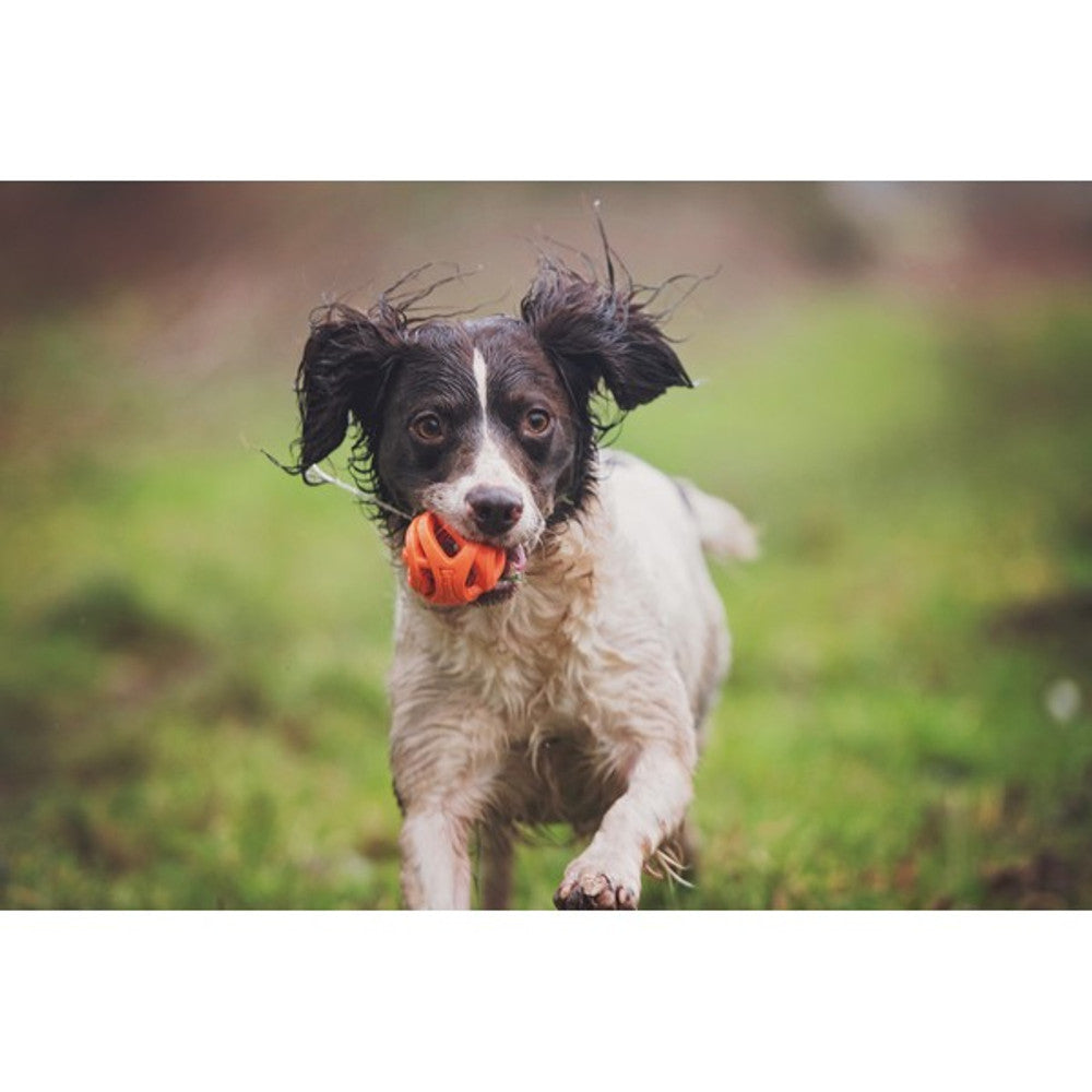 ChuckIt Breathe Right Fetch Ball
