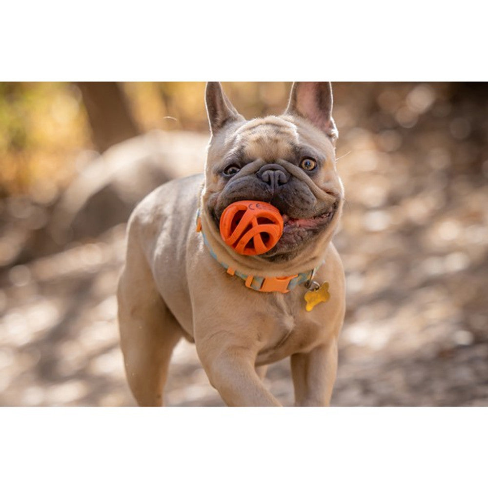 ChuckIt Breathe Right Fetch Ball