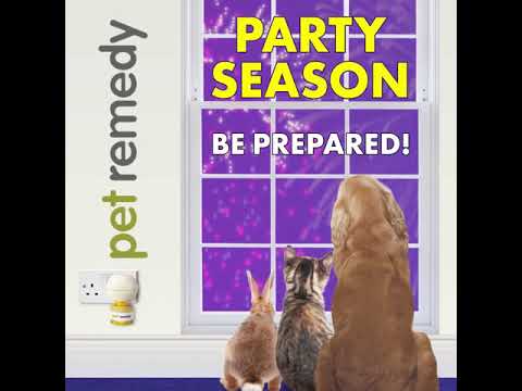 Party Season Survival Kit